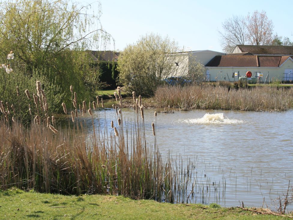 A pond with reeds and trees at Southview Holiday Park 7251 Skegness
