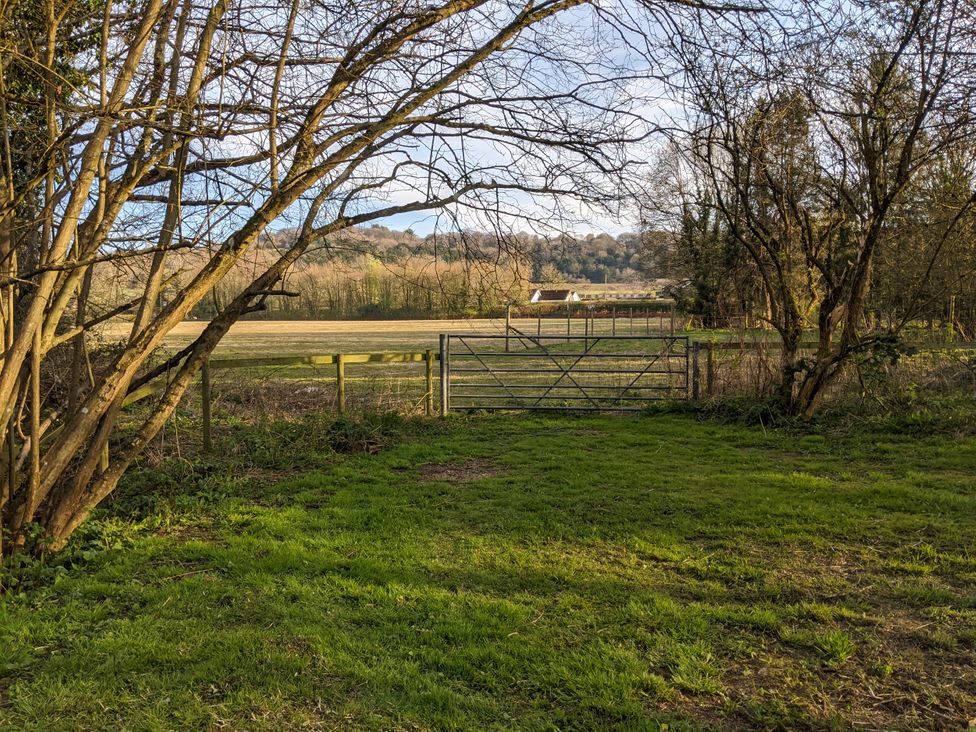 A field with a gate and trees at The Bullpen in West Tytherley