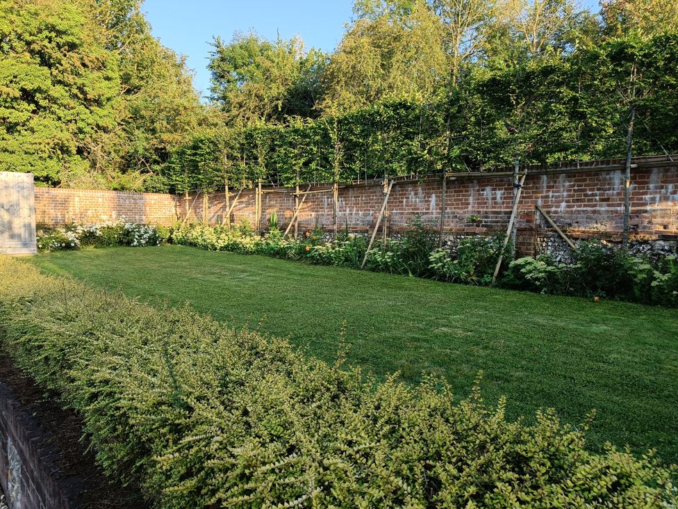 A garden with grass, plants, and a wall at The Bullpen West Tytherley