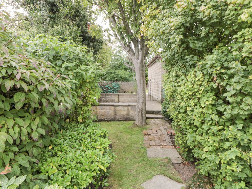 A garden pathway with hedges and a tree at 21 High Street Scarborough