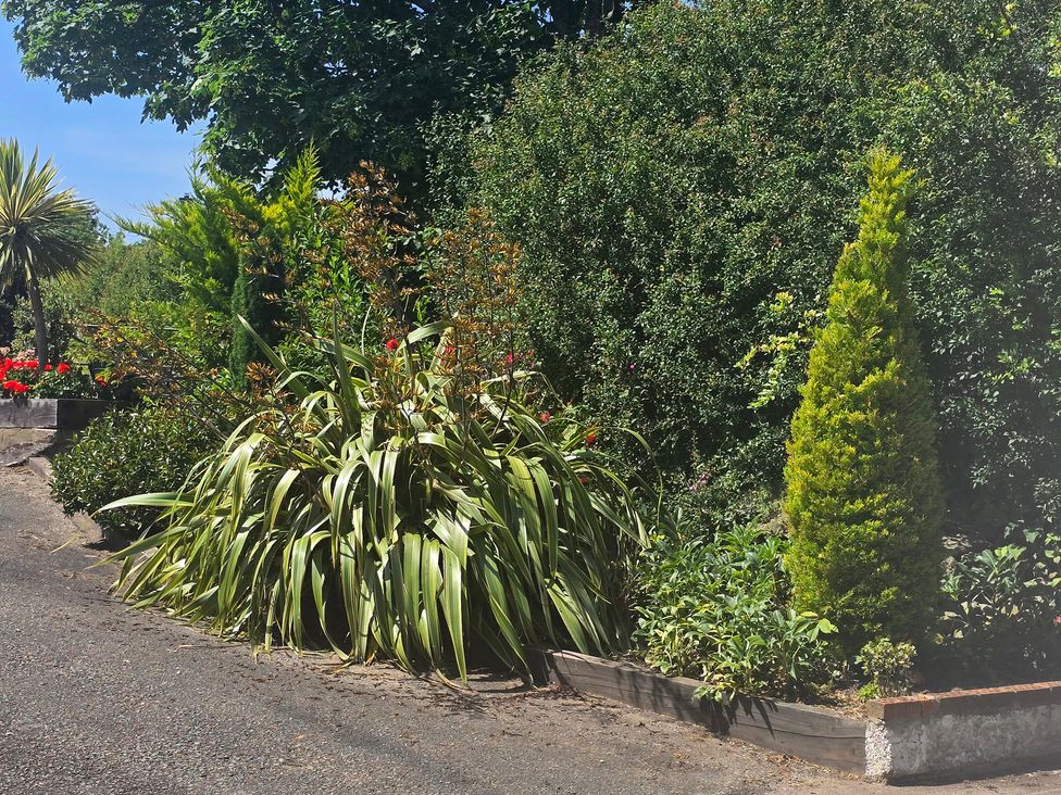 A garden with various plants and a pathway at Ty Nain in Bethel