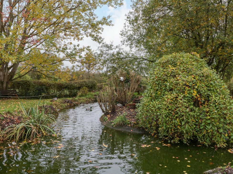 A pond with a duck and shrubs at The Log Cabin Corse near Gloucester