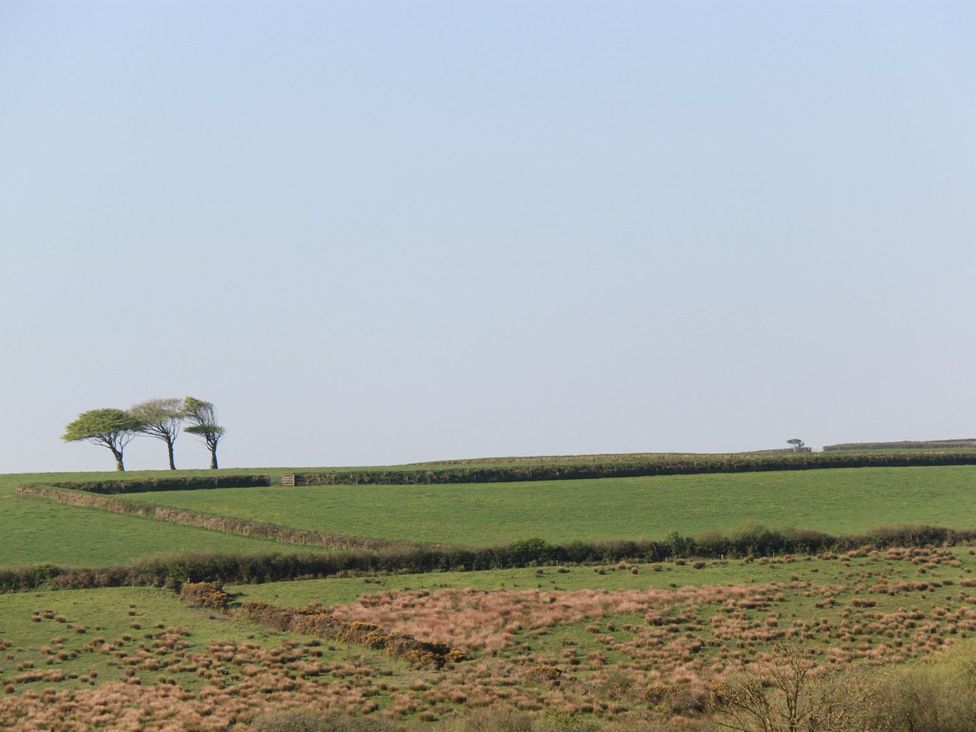 A landscape featuring trees and fields at Higher Forda in Holsworthy