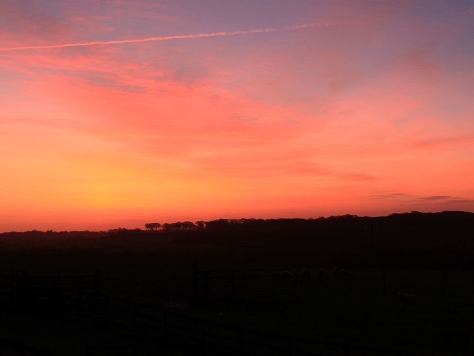 A sunset view with clouds and sheep visible at Higher Forda Holsworthy
