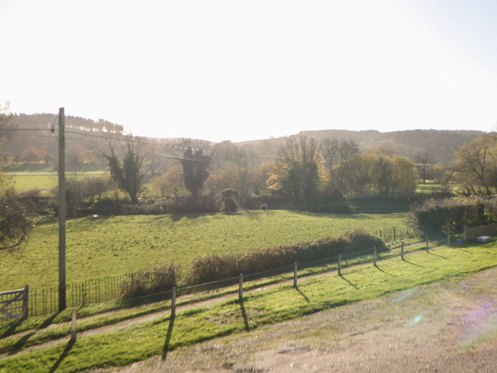 A field with trees and a road at Shunter’s Nook in Colwich