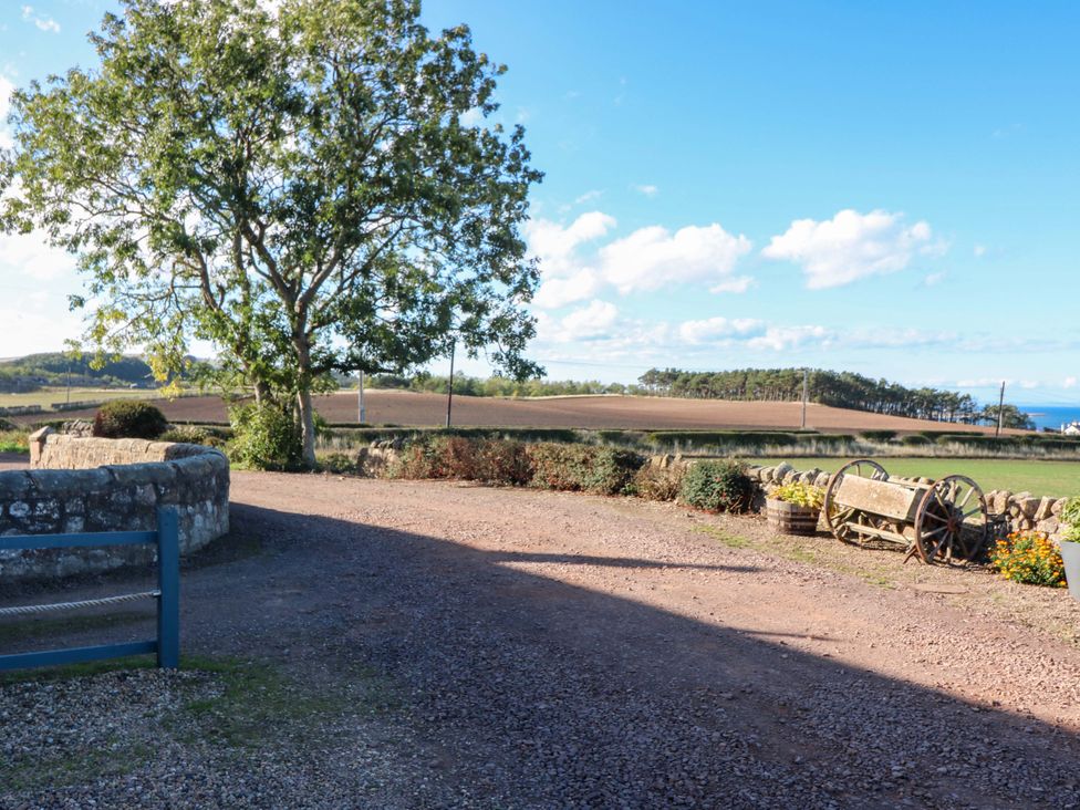 An outdoor space featuring a tree and cart at Bridle Cottage Cockburnspath