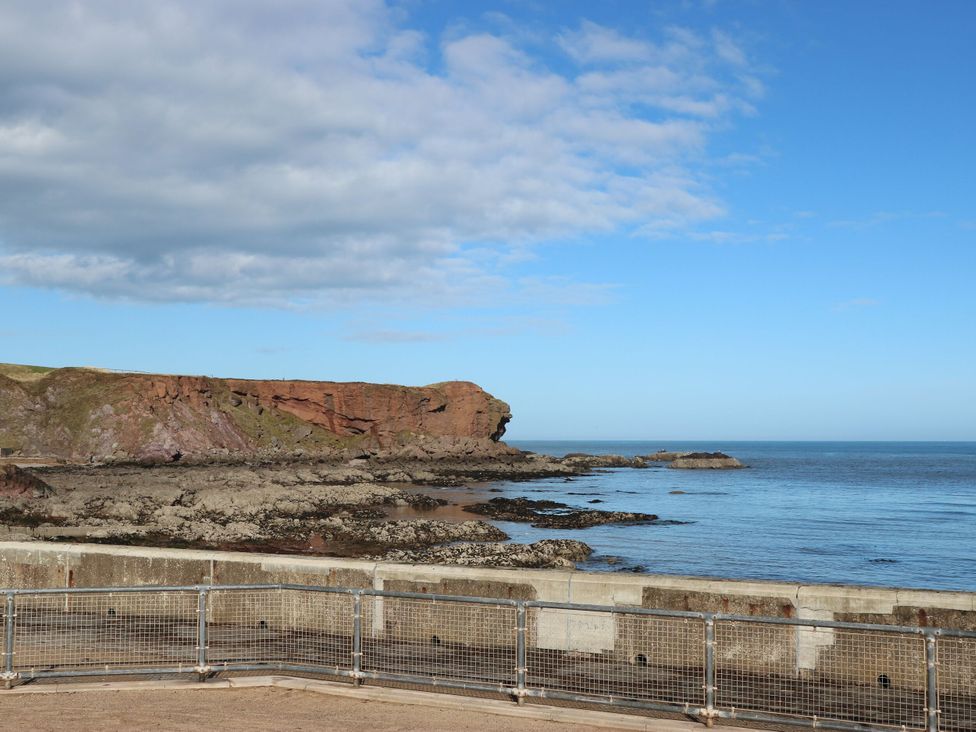 A view of a cliff and ocean with a fence at Bridle Cottage in Cockburnspath