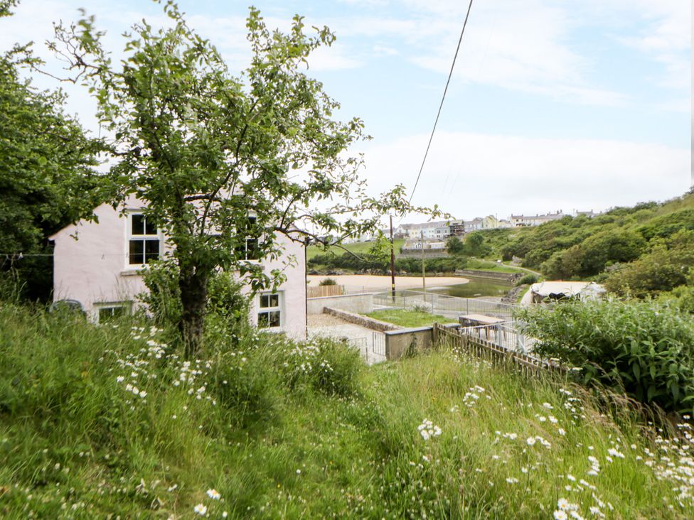 A view of buildings and a tree with grass in the foreground at Fronglyd Aberporth