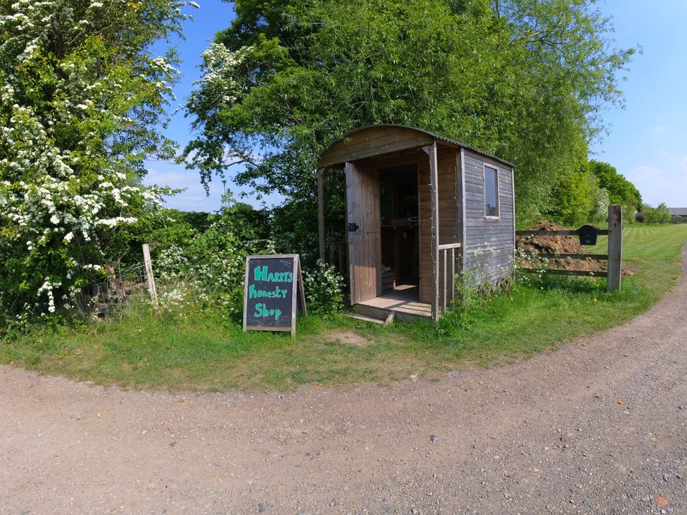 A wooden honesty shop structure along a gravel path at Harry's honesty Shop