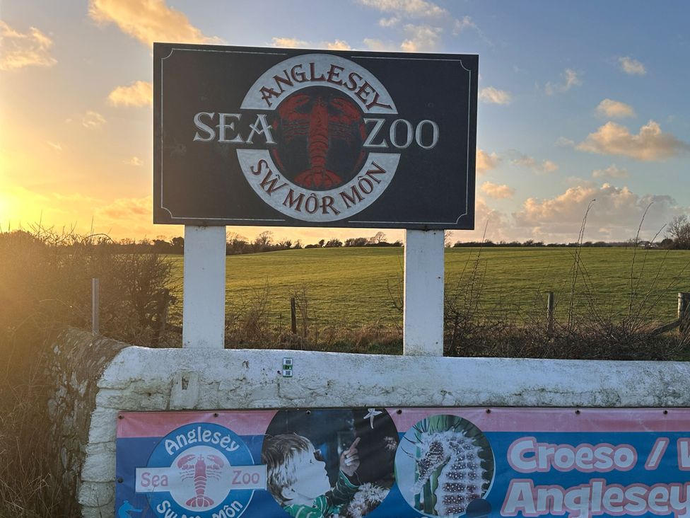 A sign for Anglesey Sea Zoo in a grassy field near Llanfairpwllgwyngyll