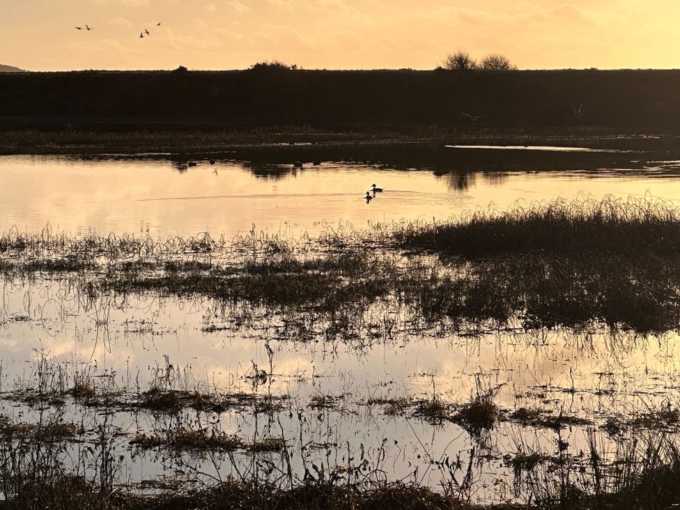 A serene landscape with water and flying birds at Pistyll Ddu in Llanfairpwllgwyngyll