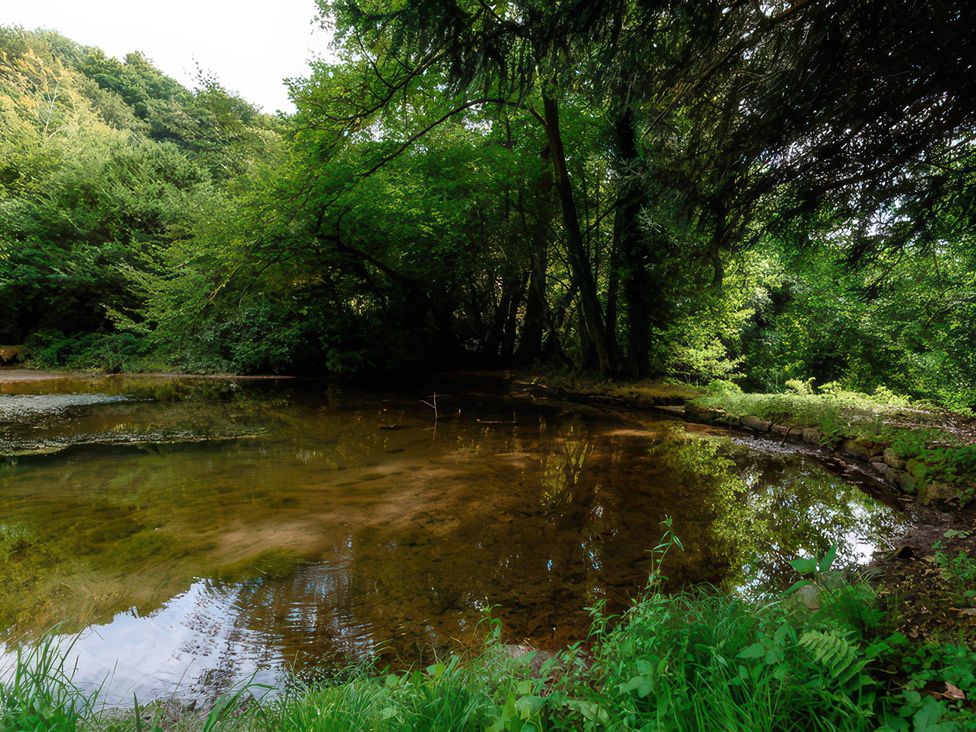 A pond surrounded by trees and grass at Ladye Park in Liskeard
