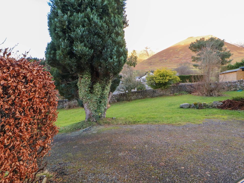 An outdoor area with a tree and a bush at Westerlodge Threlkeld near Keswick