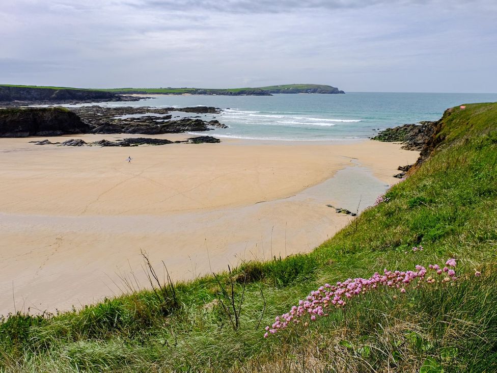 A beach scene with sand, rocks, ocean, and flowers at Hillbre Shepherd Hut Padstow