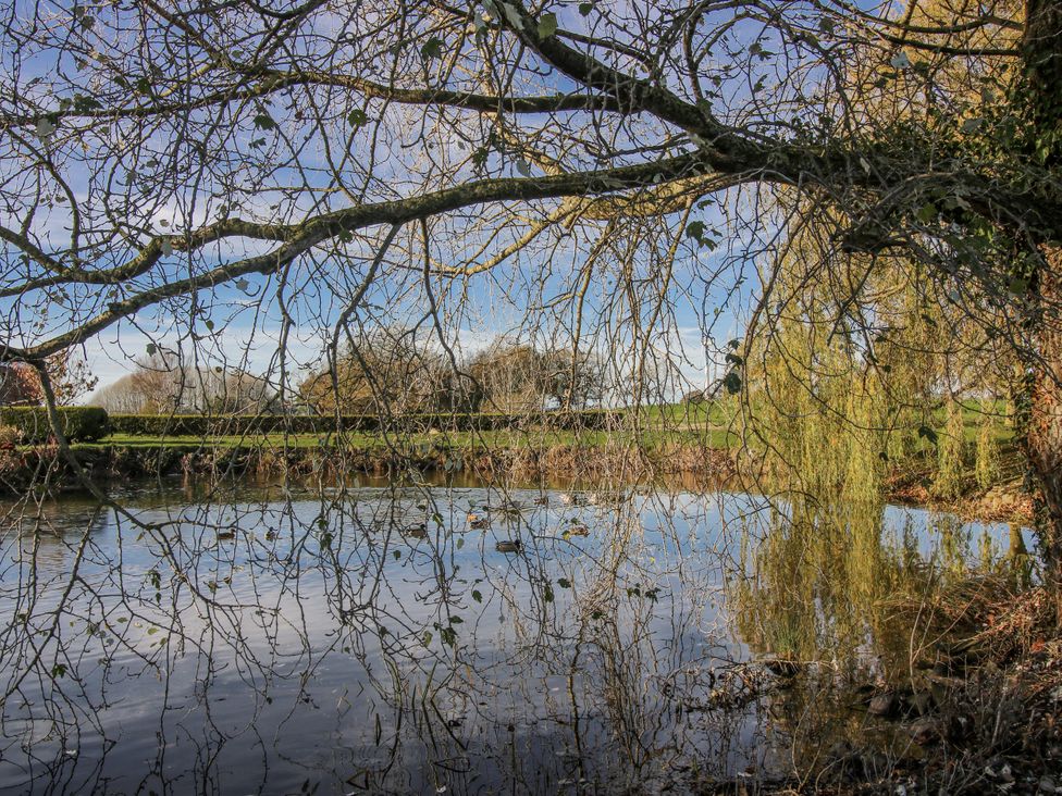A view of a pond with tree branches and reflections at Garden Cottage in Cockshutt