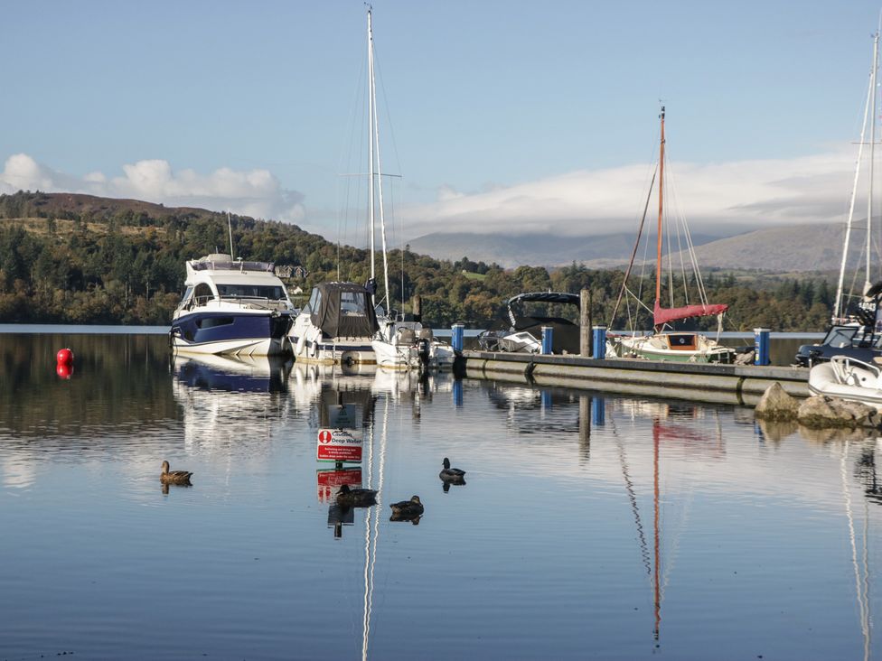A marina with boats and ducks on the water at 32 Grasmere in Windermere