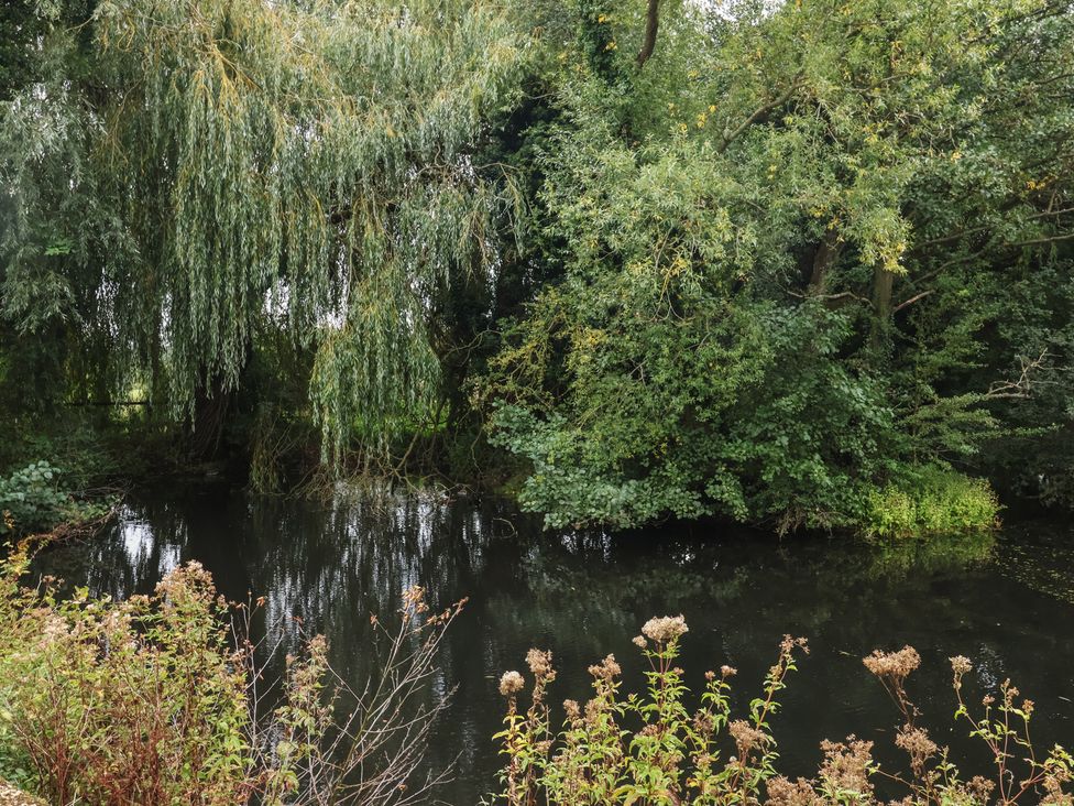 A water body surrounded by trees and plants at Duchess Cottage Woodbridge