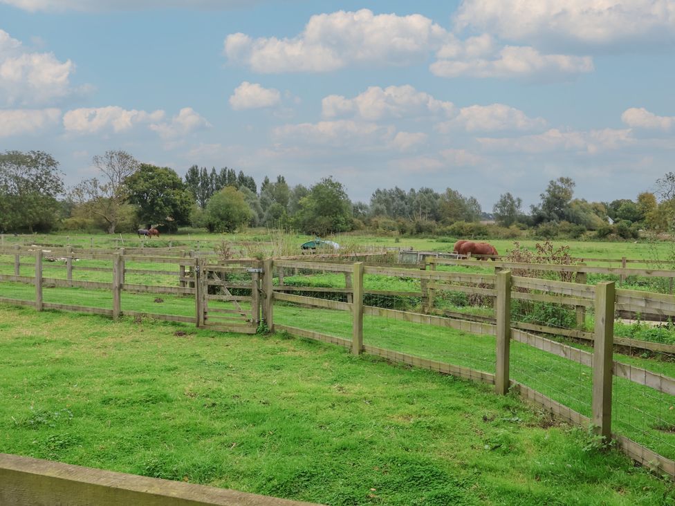 An outdoor area with a fence, grass, horse, and trees at Duchess Cottage in Woodbridge