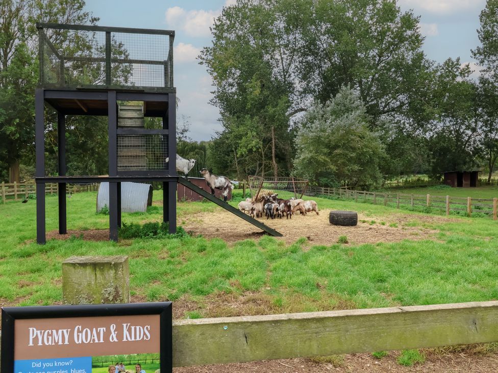 A yard with goats and a play structure at Duchess Cottage in Woodbridge
