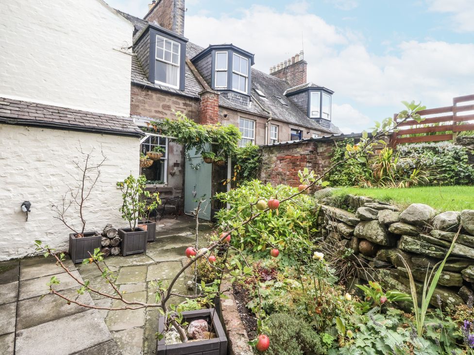 A garden with an apple tree and stone wall at Rowan Tree House Brechin