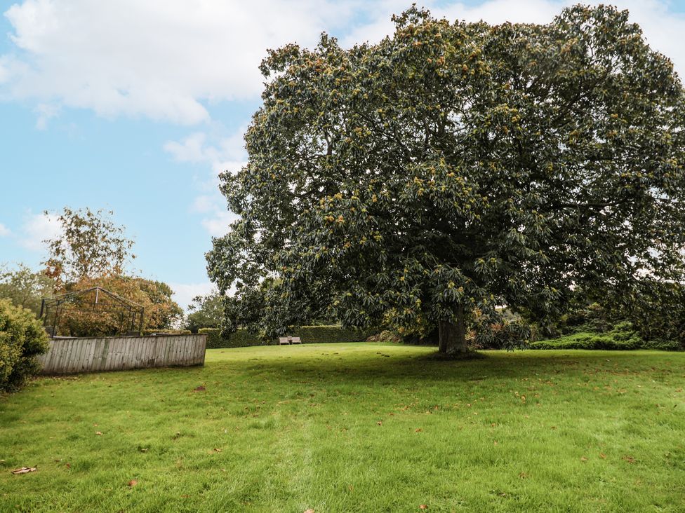 A garden with a large tree and benches at Rushmoor Cottage in Colaton Raleigh