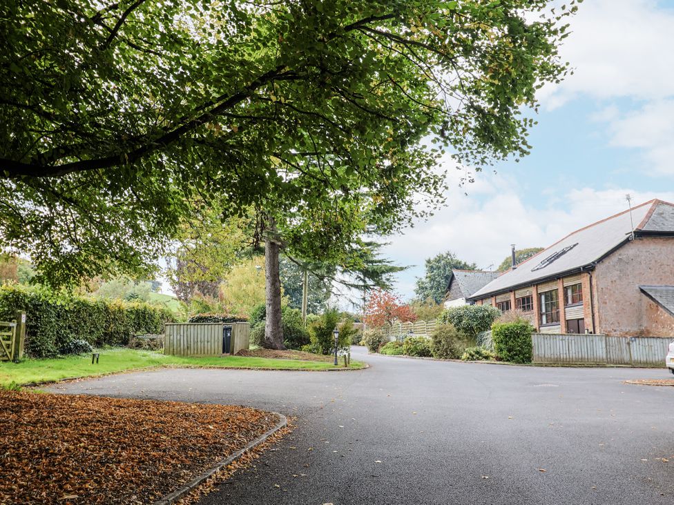 A house with a driveway and trees at Rushmoor Cottage in Colaton Raleigh