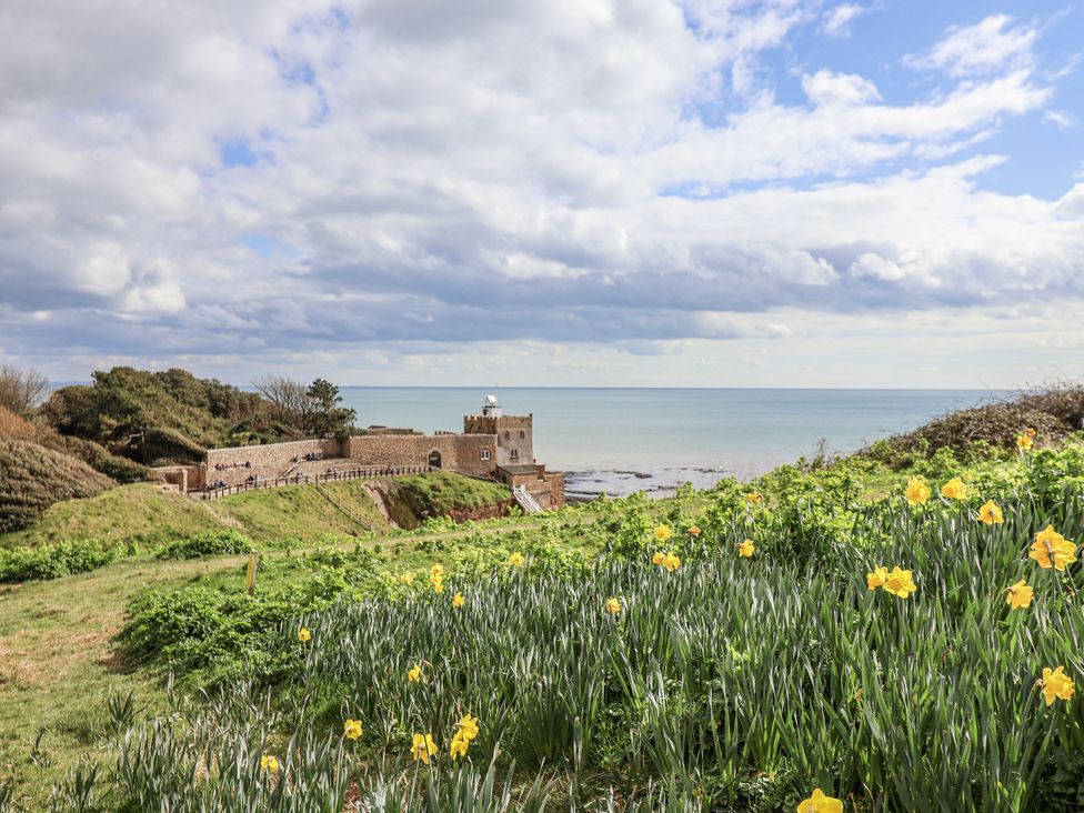 A view of the sea and a building surrounded by flowers at Rushmoor Cottage in Colaton Raleigh