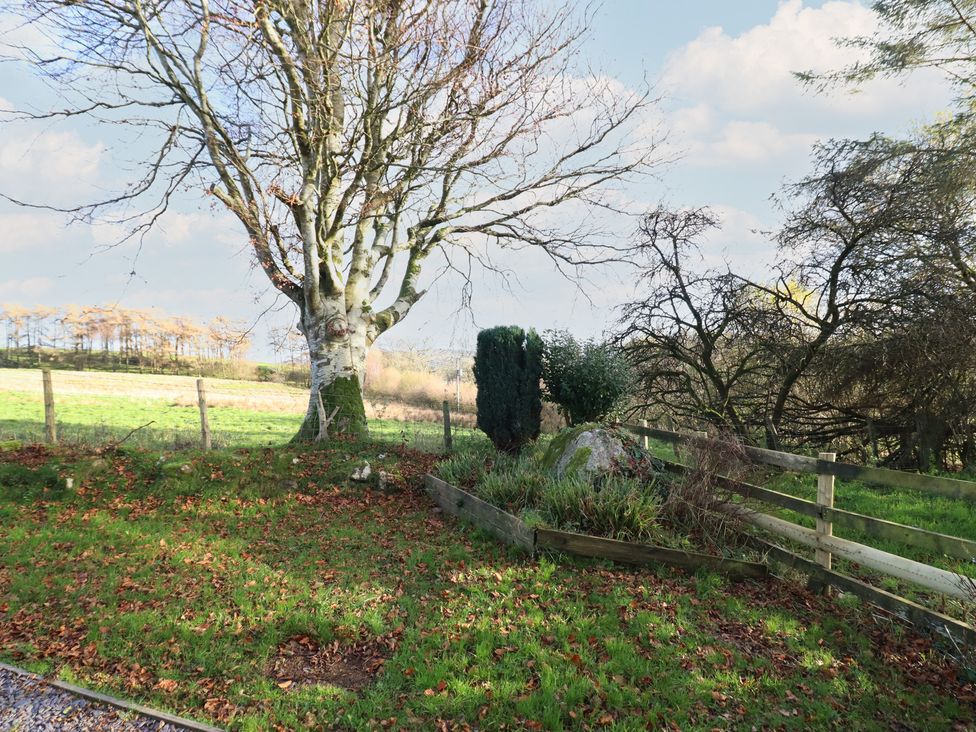A garden with a tree, fence, and rock at 1 Fron Uchaf Parc near Bala