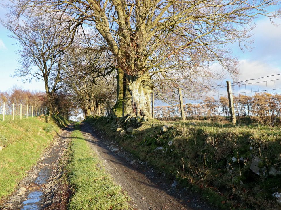 A dirt path lined by trees at 1 Fron Uchaf in Parc near Bala