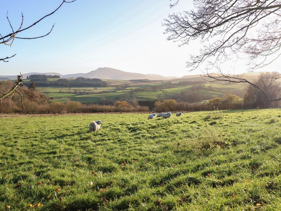 A landscape with sheep grazing in a field at 1 Fron Uchaf in Parc near Bala