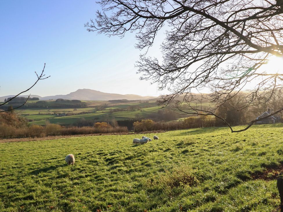 A field with sheep and hills at 1 Fron Uchaf, Parc near Bala
