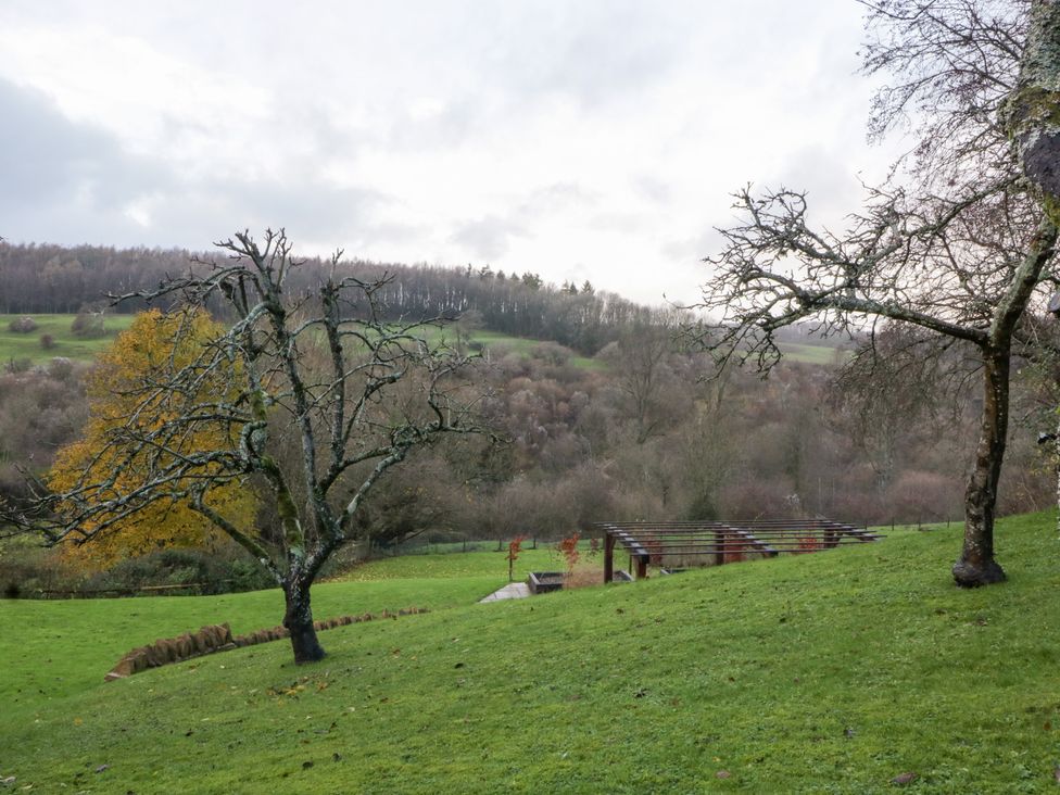A scenic outdoor view with trees and a hill at Spring View in Tetbury
