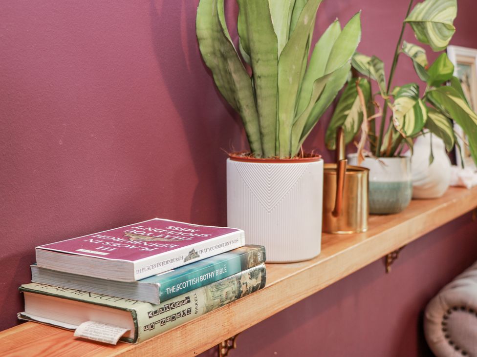 A shelf with books and plants at 14 Old Market Place Bonnyrigg