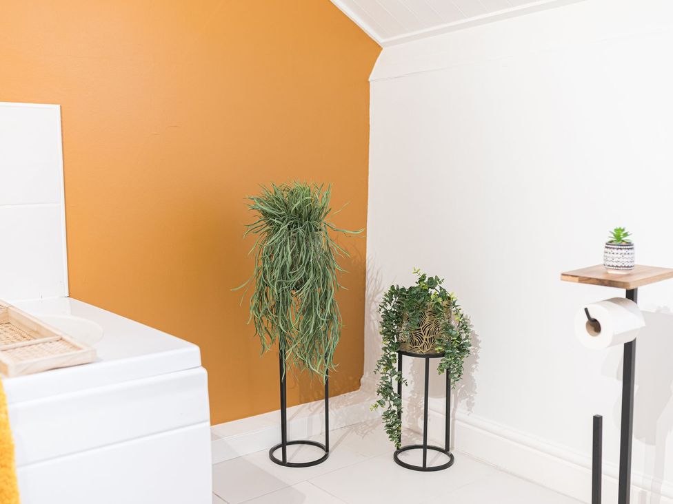 A bathroom with a toilet and plant stands at 8 Corkickle Whitehaven