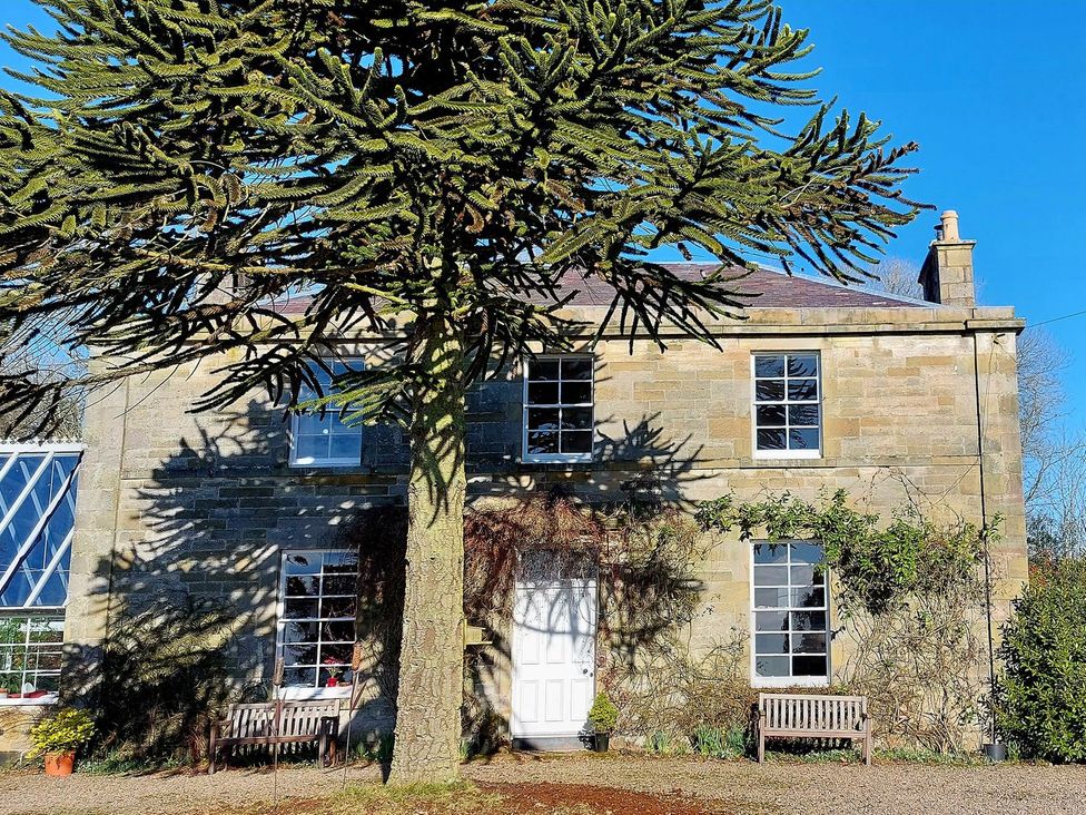 A house with a tree and benches at The Coach House- Canonbie near Langholm