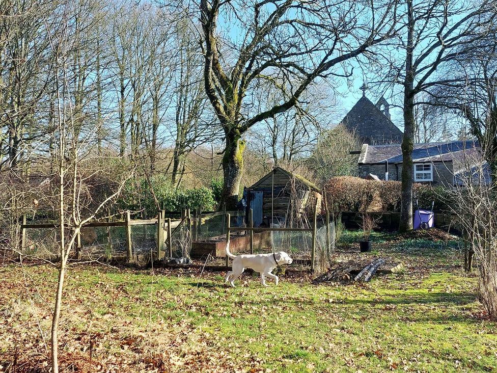 A dog walking in a garden near a shed at The Coach House- Canonbie