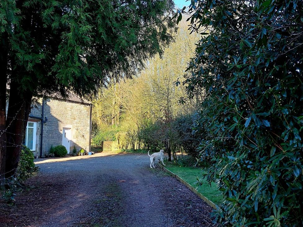 A view of a path with a dog near the house at The Coach House- Canonbie in Canonbie near Langholm