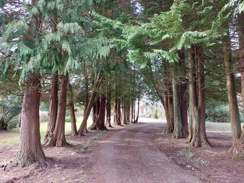 A pathway lined with trees in a garden at The Coach House- Canonbie near Langholm