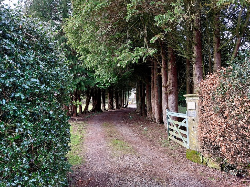 A gravel path leading to a gate surrounded by trees at The Coach House- Canonbie near Langholm