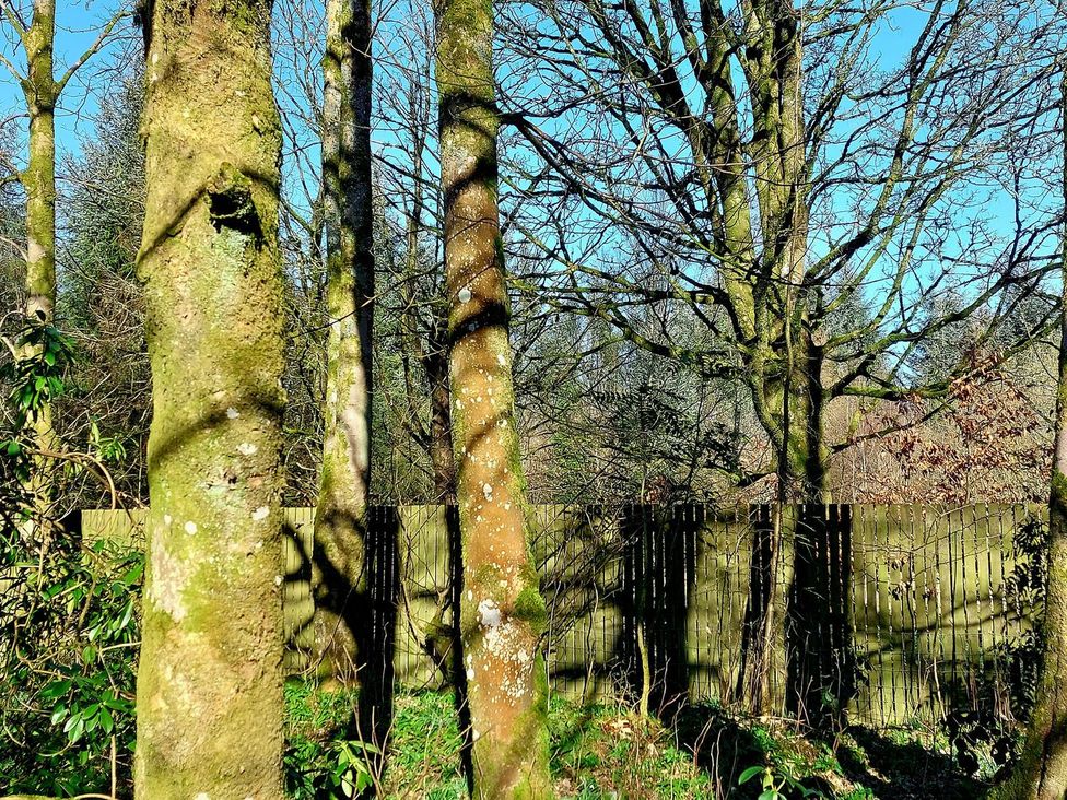 The Coach House- Canonbie -  - 1190158 - thumbnail photo 39