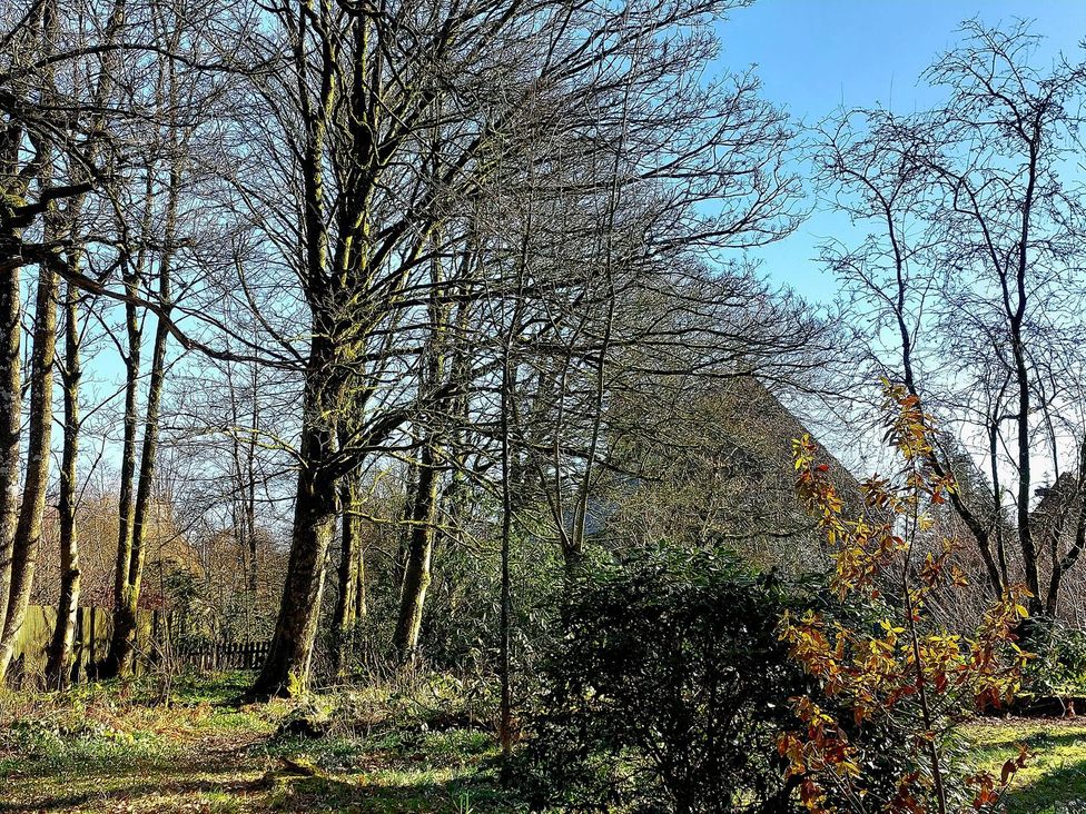 An outdoor garden with trees and bushes at The Coach House- Canonbie near Langholm