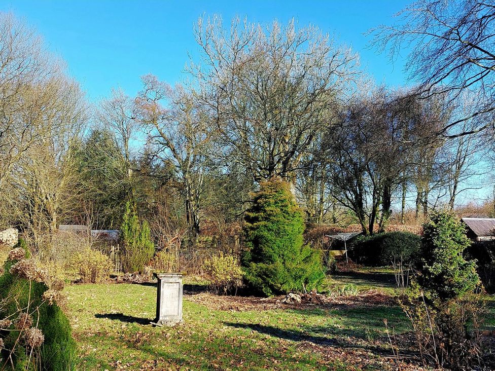 A garden with trees and shrubbery at The Coach House- Canonbie near Langholm