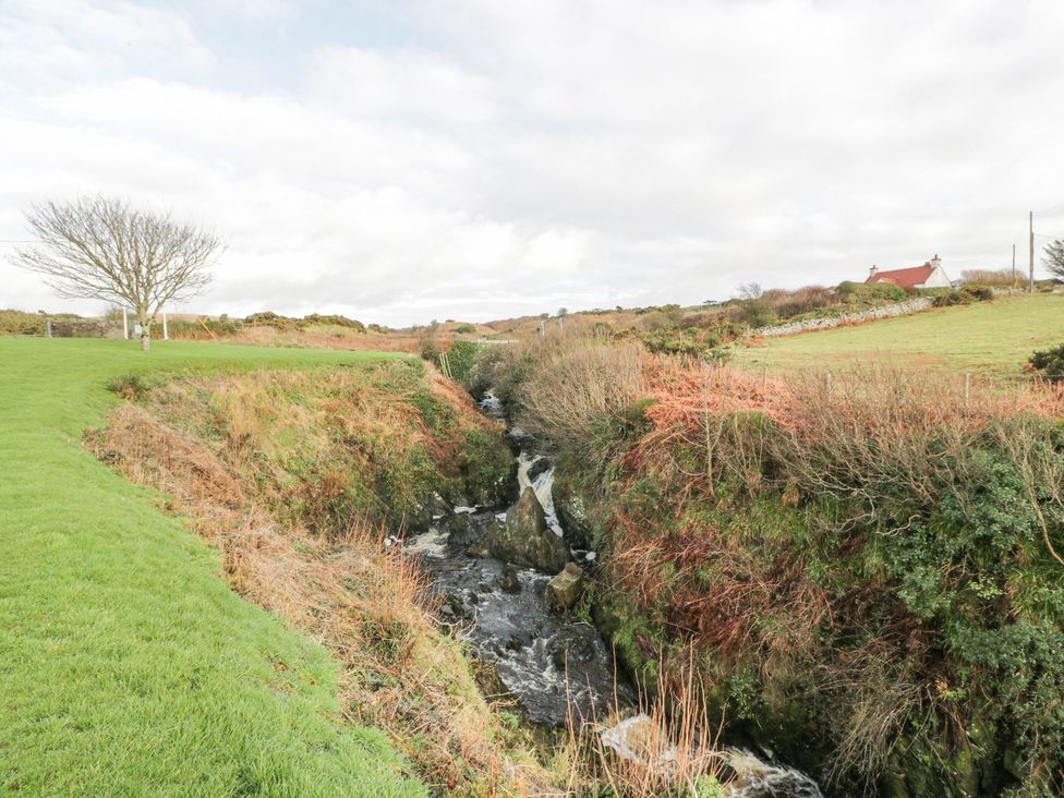 A landscape with a stream, grass, trees, and a house at Ellies House Stranraer
