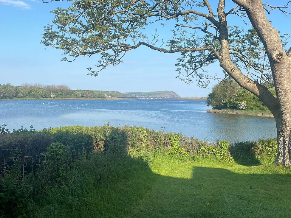 A scenic view of a tree by the water at Bryncyn in Newport, Pembrokeshire