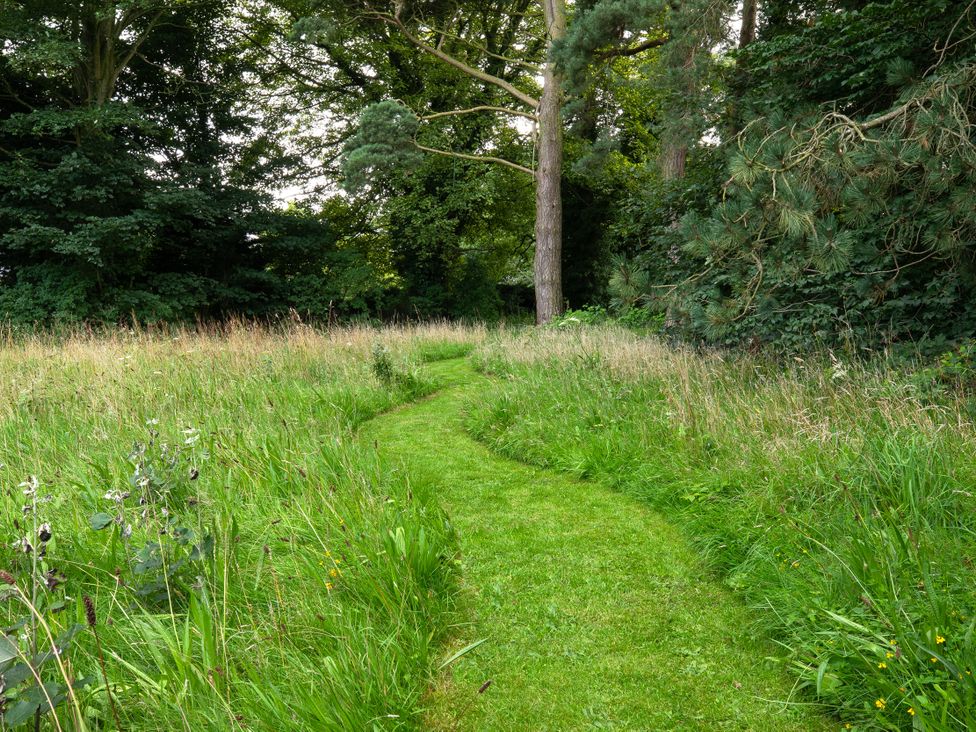 A winding path through grass and trees at The Country House Cumbria Castle Carrock