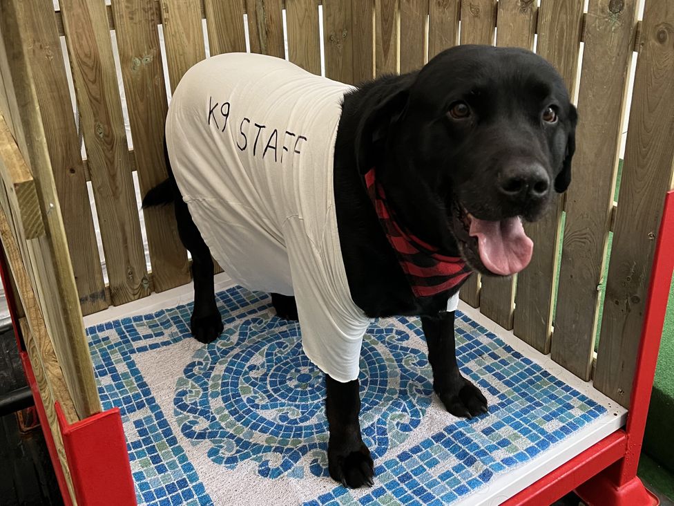 Pompian Lodge - Lake District - 1190213 - thumbnail photo 3