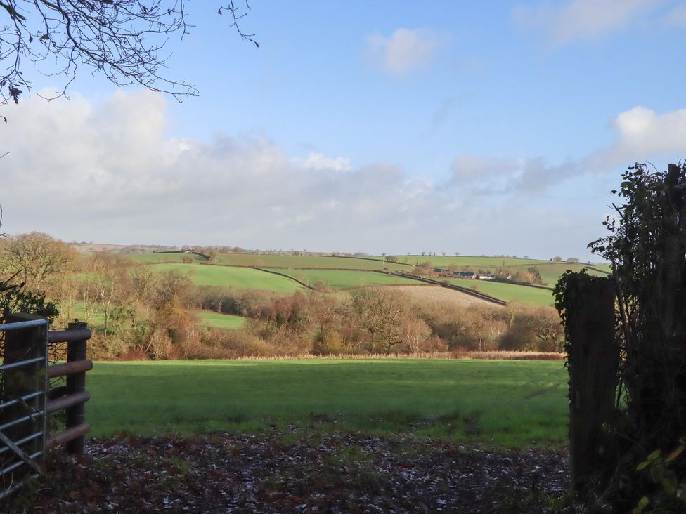 A view of fields and trees at Hilldown Granary near Bow