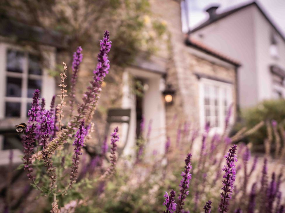 An exterior view with flowers and windows at Freya's Cottage in Metheringham