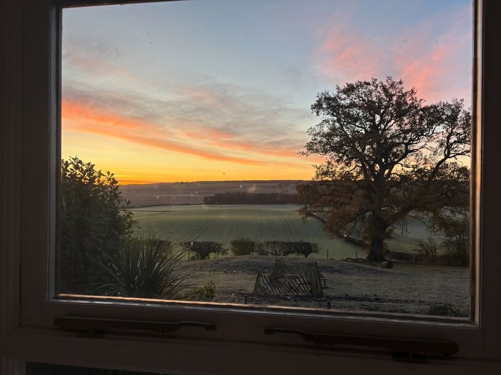 A view from a window showing fields and a tree at The Cottage in Methven