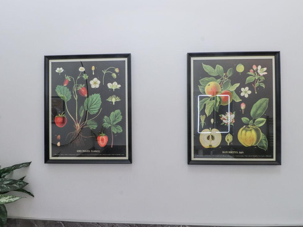 Framed botanical art of strawberries and apples at 2 Trem Y Mor Llanfwrog near Llanfachraeth